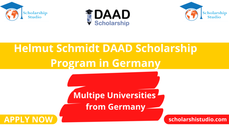 Helmut Schmidt DAAD Scholarship Program in Germany