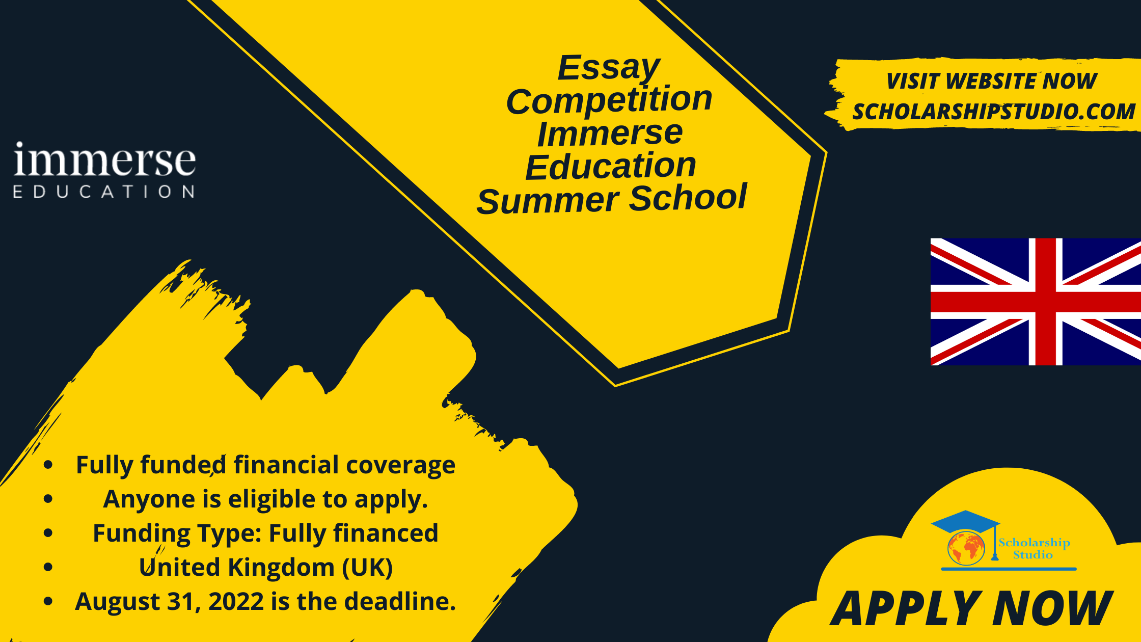 immerse essay competition examples